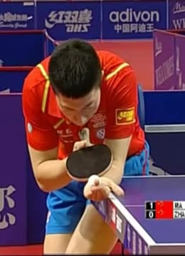 他选择的撑 他选择的撑